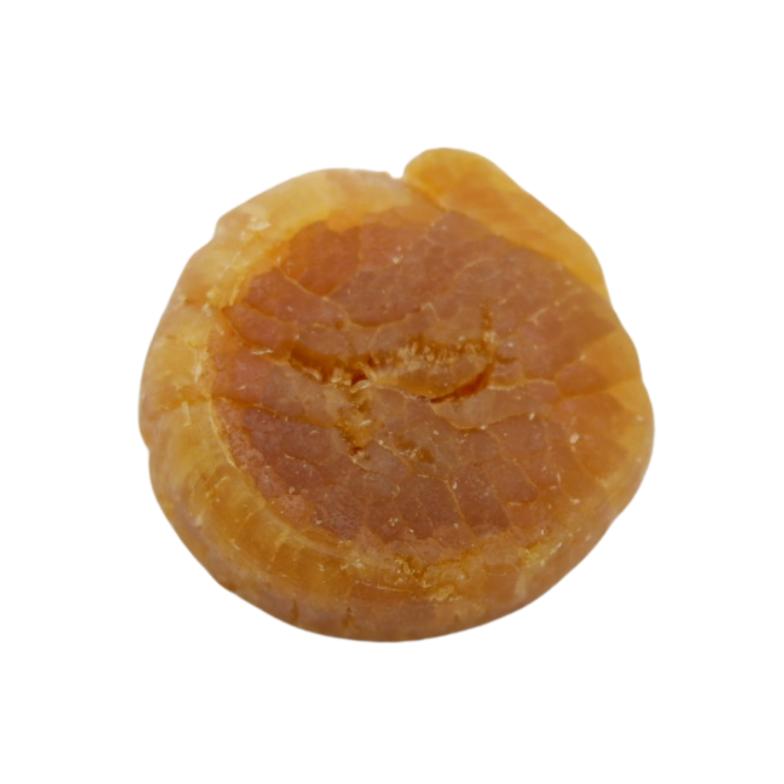 日本北海道干贝S